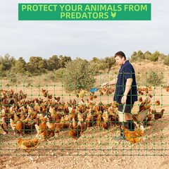 41.5″ H x 164′ L Electric Poultry Netting Fence, Livestock Mesh Net for Chicken