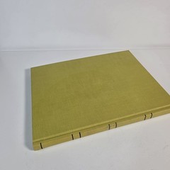 Vintage Federal Supply Service Record Book Set Of 2 Green Cloth Ruled Paper