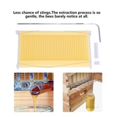 Auto Bee Hives Super Bee Box Beekeeping Hives + 7 Bee Hive Frames