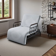 Electric Lift Bed for Seniors with OneTouch Backrest Lift & Wired Remote Control