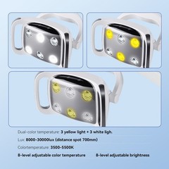 9W Dental 6 LED Lamp Oral Light Lamp For Unit Chair 8-level adjustable Ra90