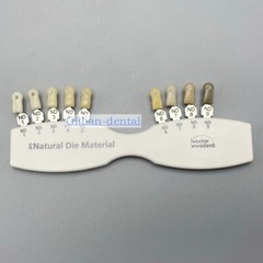 1X Dental IPS Natural Die Material Shade Guide Ivoclar Vivadent ND1-9 Abutment