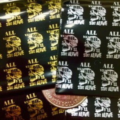 BaggiesSince1987 – 1515 Design Zip Bags 300PCS METALLIC 30 DSN MIX, READ DETAILS