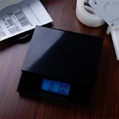 1 New High Quality Digiweigh 56lb Digital USB Postal Scale with Adapter DW-56BPB