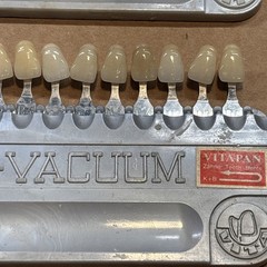 Lumin-VACUUM Teeth Denture Shade Guide Lot Made in Germany