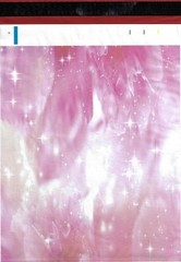 100 10×13 Pink Peony Designer Poly Mailers Envelopes Boutique Custom Bags