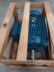 WEG 02018ET3E256T-W22 Electric Motor 11438008 3ph 20hp 230/460V 1765rpm