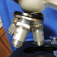 Omax Microscope G2018007467 Rotatable Head 4 Lens Missing Eyepieces