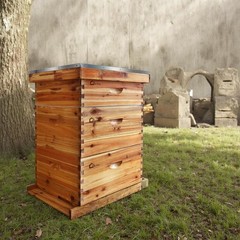 Langstroth Beehive 10 Wooden Frame Box Kit with Waxed Boxes, 2 Deep and 1 Medium