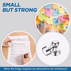 3pcs Neodymium Magnet Thumbtack Suction Super Strong Magnets for Fridge Hardware