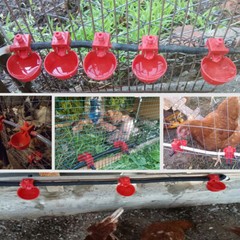 20 PACKS Poultry/Quail Water Drinking Cups Chicken Hen Plastic Automatic Drinker