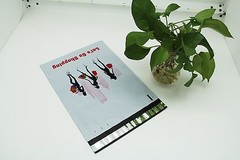 300 10×13 Lets Go Shopping Designer Poly Mailers Envelopes Boutique Custom Bags