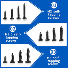1300 Pcs Wood Screws Assortment Kit, M2 M2.5 M3 Small Phillips Pan Head Self Tap