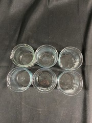 VWR 250mL Low Form Griffin Glass Graduated Beaker Standard 6PK 10754-952