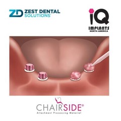 Zest CHAIRSIDE Genuine Attachment Processing Material Fast Set, 8g (4ml)