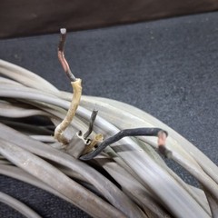 100′ of 10awg 10-2 E30445 Type UF-B Sunlight Resistant Sheath Copper Wire, READ
