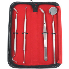 MEDICAL SURGICAL DENTAL TEETH CLEANING TOOTH WHITENING DENTIST PICKS FLOSS SET