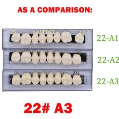 168Pcs Dental Acrylic Resin Denture 22# A3 Full Set Teeth Upper Lower Shade US