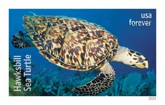 United States Postal Service Protect Sea Turtles 2024 5 Sheets Of 18