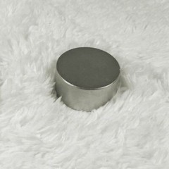 Round N52 Large Neodymium Rare Earth Magnet Big Super Strong Huge 40mm*20mm USA