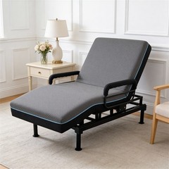 Electric Lift Bed for Seniors with OneTouch Backrest Lift & Wired Remote Control