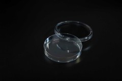 CELLTREAT 100mm x 15mm Petri Dish Slideable 500/Case, Sterile, #229694