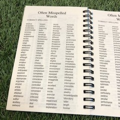 Vintage 1995-97 Michael Stevens 12 Months Spiral Mini Planner 6”x4”clean