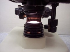 LW Scientific Student Microscope (Please See Description)