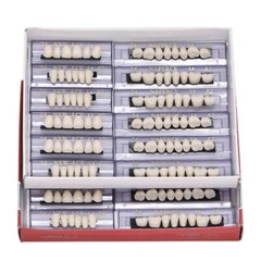 840Pcs Dental Acrylic Resin Denture 24# A2 Full Set Teeth Upper Lower Shade USA