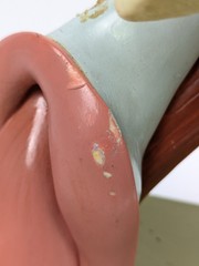 Vtg Somso DS5 Ear Anatomical Model