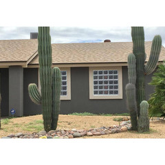 31 In. X 15.5 In. X 3.125 In. Frameless Wave Pattern Non-Vented Glass Block Wind