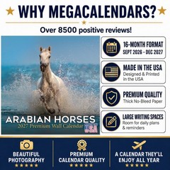Arabian Horses Calendar 2024 FULL SIZE 12×24 Made in USA