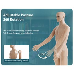 Male Mannequin Full Body Dress Form Sewing Dress Model Mannequin Stand 73 inch