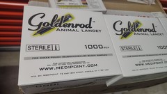 Medipoint Goldenrod Animal Lancet 4mm 1000/box Lancets