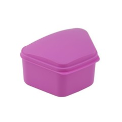 Dental Denture box case carrier assorted color Top Quality Money back guarantee