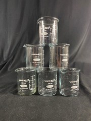 VWR 250mL Low Form Griffin Glass Graduated Beaker Standard 6PK 10754-952
