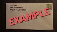 25 Personalized Return Address Labels FREE Shipping