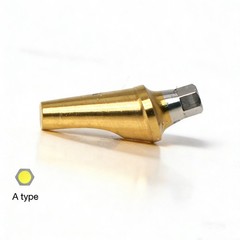 Hiossen ET 17° degree implant Angulated Ti Anatomic Abutment Dental Mini/Regular