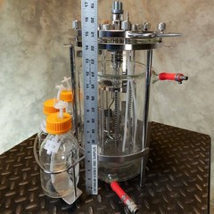 4L Sartorius-Type Jacketed Double Wall Glass Bioreactor Fermenter Vessel
