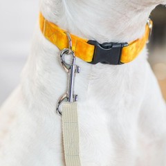6 Pack Metal Trigger Snap Hooks – Double Ended Bolt Snaps for Dog Leash, Heavy D