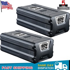2PS 5.0ah Replacement PRO 80Volt Battery GWL1840 For GBA80200 GBA80400 Battery