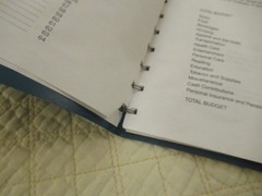 Dome Simplified Home Budget Book (Vintage)