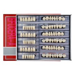 168Pcs/Box Acrylic Resin Denture #23 Dental Upper Lower Shade A2 Teeth Set US