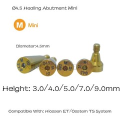 US Hiossen Essential Treatment Implant System Healing cap Abutment Regular/Mini