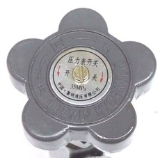 NEW LEEMIN HYDRAULICS 35MPA VALVE 1/4″ NPT