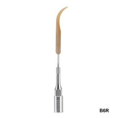 Dental Ultrasonic Scaler Tips Fit EMS WOODPECKER-UDS Handpiece Cleaning Implant