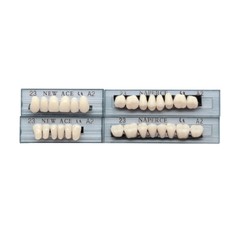 168Pcs Acrylic Resin Denture #23 Dental Upper Lower Shade A2 Teeth Set NEW