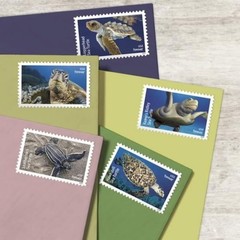 United States Postal Service Protect Sea Turtles 2024 2 Sheets Of 18