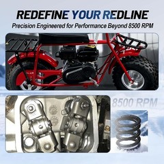 36lb Valve Spring Kit For 212cc For 200 For Non-HEMI Clone 200 For Size: 36lb