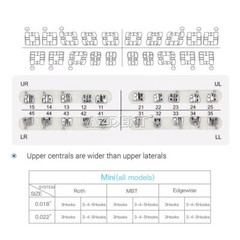 Dental Orthodontic Brackets Brace Mini/Standard Roth MBT Slot 022/018 Mesh Base